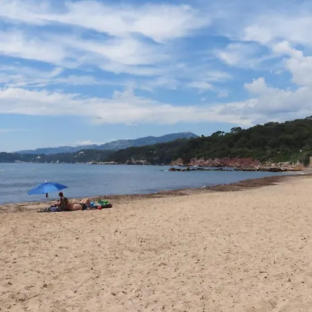 Apartment Tres Beau Duplex A 300m Du Bord De Mer Le Pradet